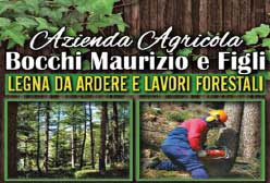 Bocchi Maurizio azienda agricola, Palagano
